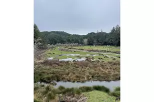 922 Fern Pl, Reedsport, OR 97467 - Photo 3