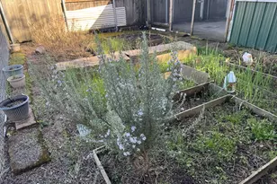 9143 SE Pine St, Portland, OR 97216 - Photo 27