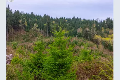 00 Erickson (Tl300) Rd #300, Eugene, OR 97405 - Photo 5