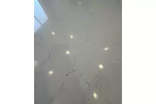 2134 SE Brooklyn St, Portland, OR 97202 - Photo 5