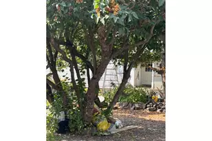 141 E Bryan Ave, Union, OR 97883 - Photo 17