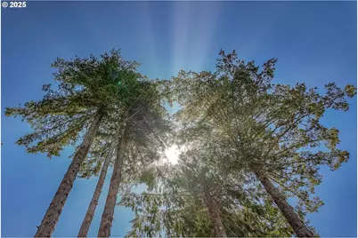 94531 Smokey Ln, Coquille, OR 97423 - Photo 39