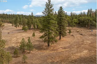 60 Oak Meadow Way, Goldendale, WA 98620 - Photo 9