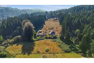20002 NE Cedar Creek Rd, Amboy, WA 98601 - Photo 7
