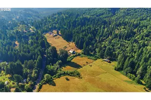 20002 NE Cedar Creek Rd, Amboy, WA 98601 - Photo 5