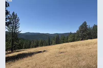 0 Usfs 2036, Union, OR 97883 - Photo 9