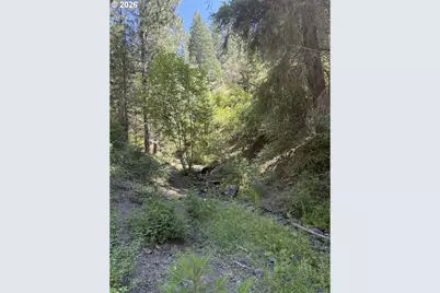 0 Usfs 2036, Union, OR 97883 - Photo 5