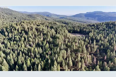 0 Usfs 2036, Union, OR 97883 - Photo 13