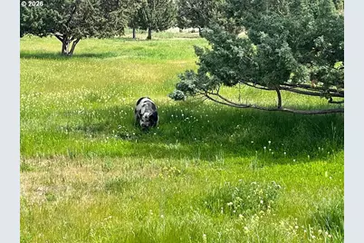 27847 Pine Creek Rd, John Day, OR 97845 - Photo 39