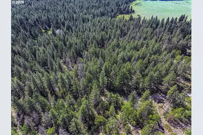 Nka Forest Glen Dr #37, Goldendale, WA 98620 - Photo 7