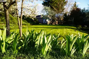 3676 Princeton Way, Medford, OR 97504 - Photo 27