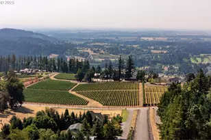 NE Mountain Home Rd, Sherwood, OR 97140 - Photo 27