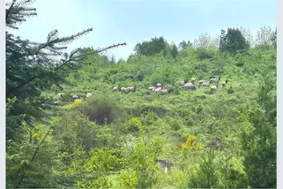 48232 Westoak Rd, Westfir, OR 97492 - Photo 31