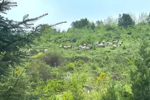 48232 Westoak Rd, Westfir, OR 97492 - Photo 31