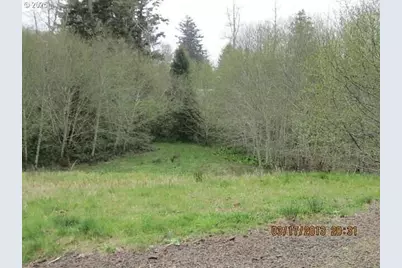 223 Holly Heights Avenue, Netarts, OR 97143 - Photo 9