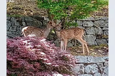 1224 Tyndall Ct, Lake Oswego, OR 97034 - Photo 43