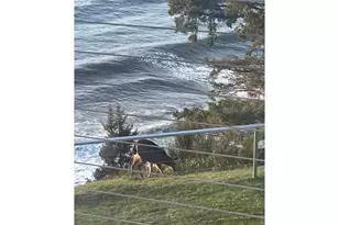 3912 Sunset Blvd, Seaside, OR 97138 - Photo 27