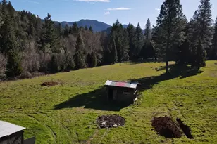 331 Hobbs Ln, Glendale, OR 97442 - Photo 41