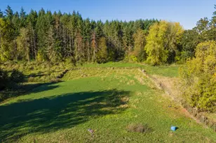 4751 NE Henry Creek Rd, Dayton, OR 97114 - Photo 5