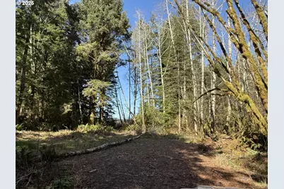 Cinnabar Lot 2, North Bend, OR 97459 - Photo 9