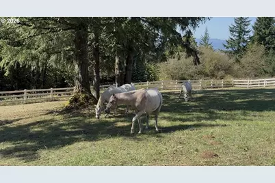 21030 NE Bald Peak Rd, Hillsboro, OR 97123 - Photo 35