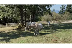 21030 NE Bald Peak Rd, Hillsboro, OR 97123 - Photo 35