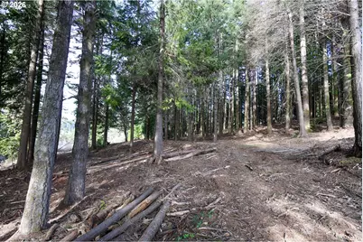 0 Newmark St, North Bend, OR 97459 - Photo 21