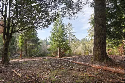 0 Newmark St, North Bend, OR 97459 - Photo 11