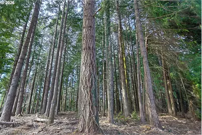 0 Newmark St, North Bend, OR 97459 - Photo 15