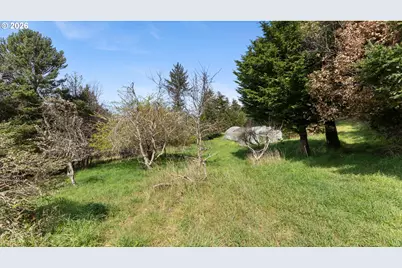 0 Hwy 101, Port Orford, OR 97465 - Photo 45
