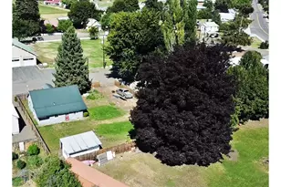 226 Center St, Halfway, OR 97834 - Photo 3