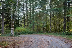 17808 NE Cedar Creek Rd, Amboy, WA 98601 - Photo 7