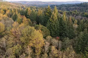17808 NE Cedar Creek Rd, Amboy, WA 98601 - Photo 19