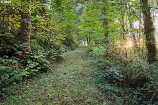 17808 NE Cedar Creek Rd, Amboy, WA 98601 - Photo 15