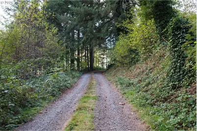 17808 NE Cedar Creek Rd, Amboy, WA 98601 - Photo 3