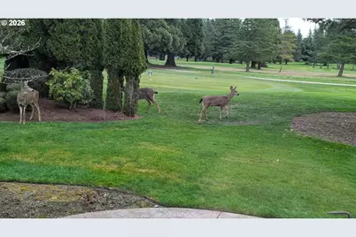 1663 NW Medinah Dr, McMinnville, OR 97128 - Photo 3