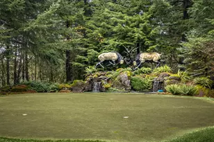 29510 NE 85th Cir, Camas, WA 98607 - Photo 41