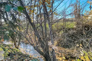 261 SW 2nd St, Pilot Rock, OR 97868 - Photo 45