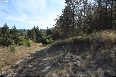 1250 Dry Creek Rd, Mosier, OR 97040 - Photo 29
