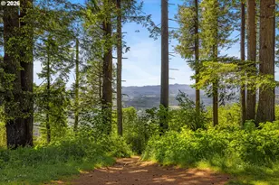 17730 NE Sunrise Peaks Ln, Hillsboro, OR 97123 - Photo 45