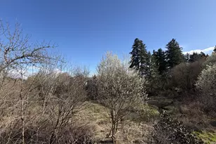 17808 NW Pioneer Rd, Beaverton, OR 97006 - Photo 43