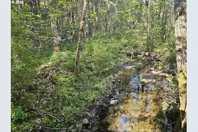 4539 Hwy 238, Jacksonville, OR 97530 - Photo 5