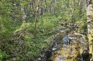 4539 Hwy 238, Jacksonville, OR 97530 - Photo 5