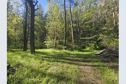 4539 Hwy 238, Jacksonville, OR 97530 - Photo 3