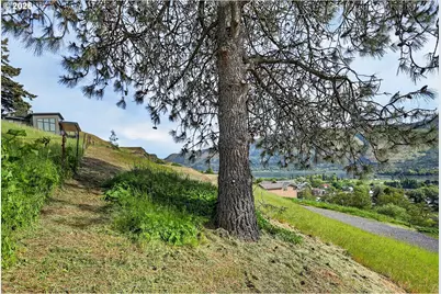 Columbia Dr, Lyle, WA 98635 - Photo 3