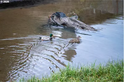 1801 NW Dolphin Ln, Waldport, OR 97394 - Photo 23