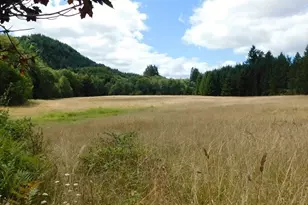 13794 Clear Creek Rd, Vernonia, OR 97064 - Photo 37