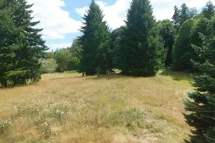 13794 Clear Creek Rd, Vernonia, OR 97064 - Photo 29