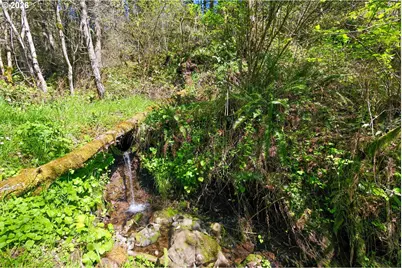 38775 Golden Valley Dr, Lebanon, OR 97355 - Photo 27