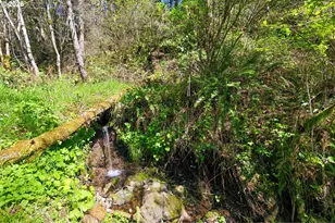 38775 Golden Valley Dr, Lebanon, OR 97355 - Photo 27